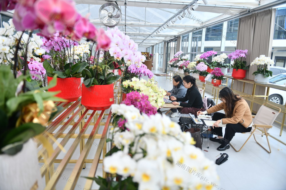 娄底 观赏  闲置 资源 特色农业 智能化 种植 农旅融合