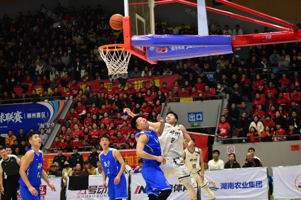 篮球  运动  体育   比赛