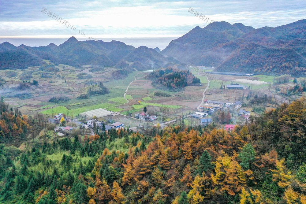 湖南，龙山，山色，薄雾，青黄，水墨画