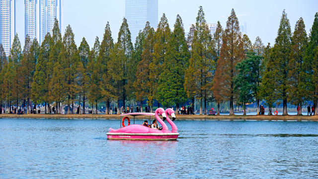 ：烈士公园色彩斑斓