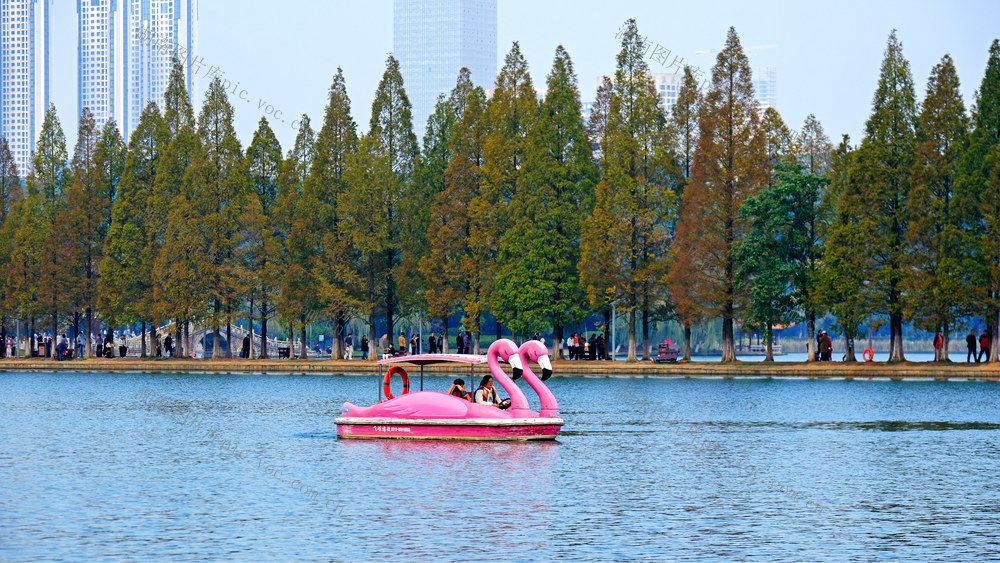 ：烈士公园色彩斑斓