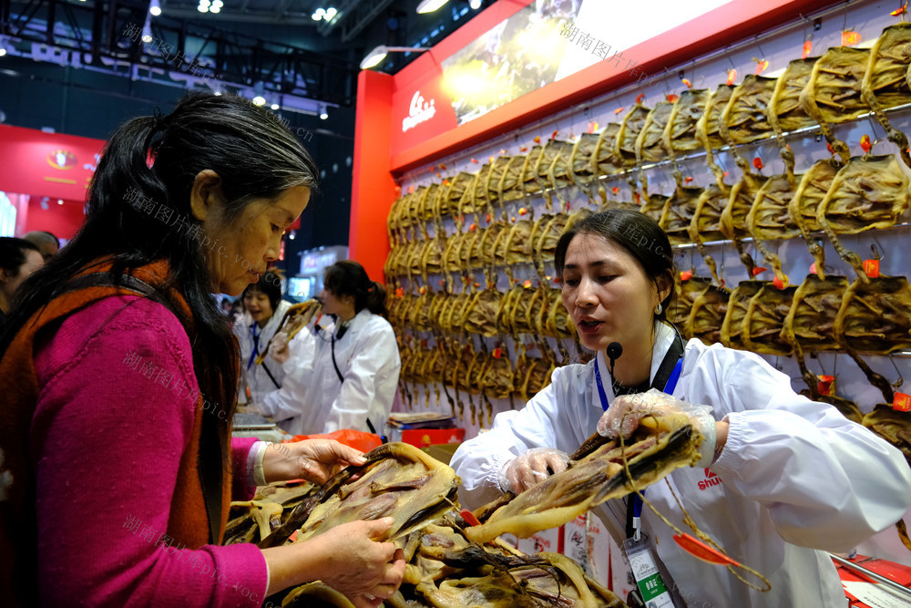 农业博览会开幕