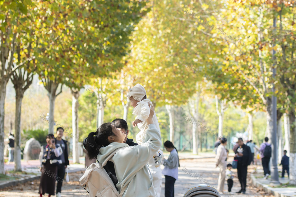 娄底 冬日 初冬 游客 乐享  景色