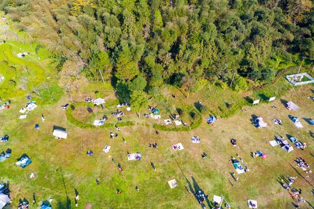 冬天  阳光  吉首 草坪  休闲  