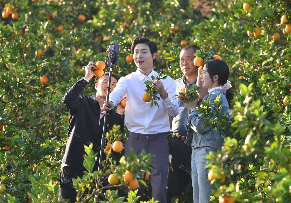 嘉禾：党员直播 助农销售