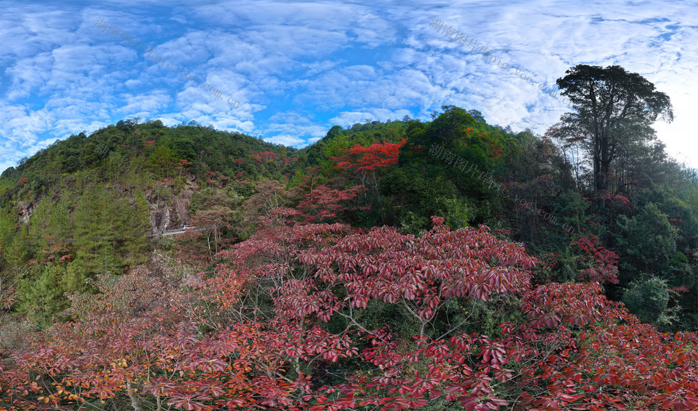 湖南桂东 初冬 彩卷 东边山 层林尽染 