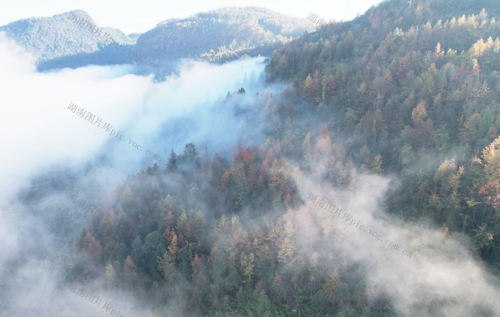 和美乡村   冬景如画