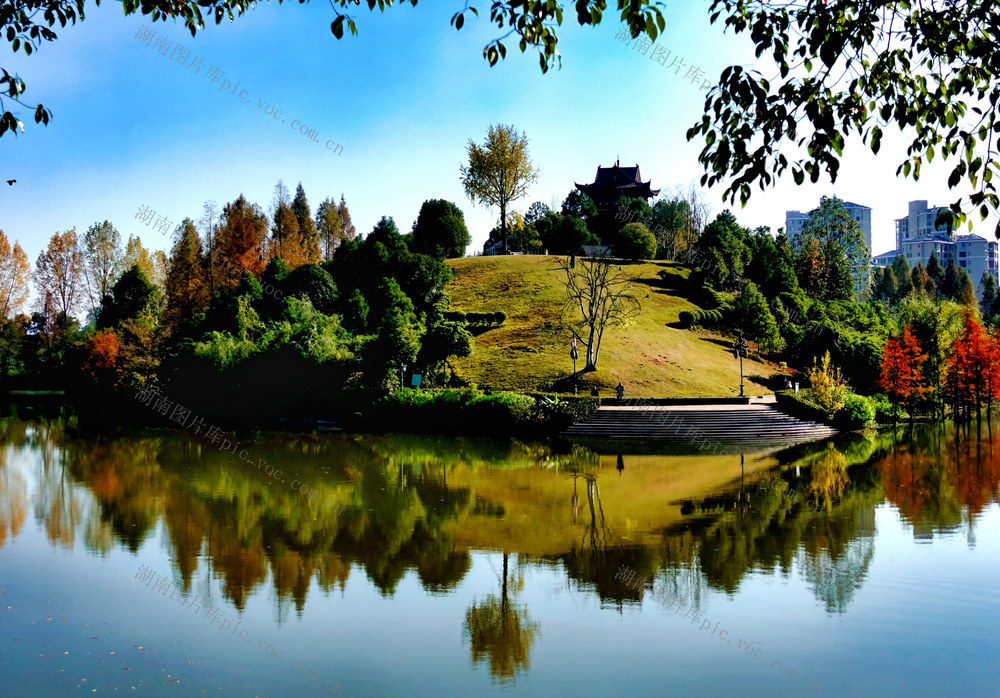 冬日醉美“调色板”