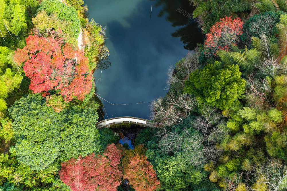 山水 彩林 红叶 冬季 水库