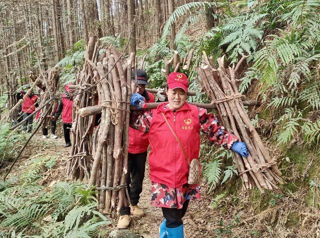 寒冬拾柴送温暖
