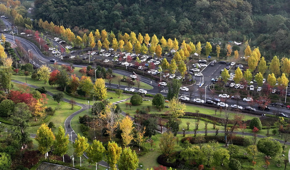 景口美口游人口多囗车口多