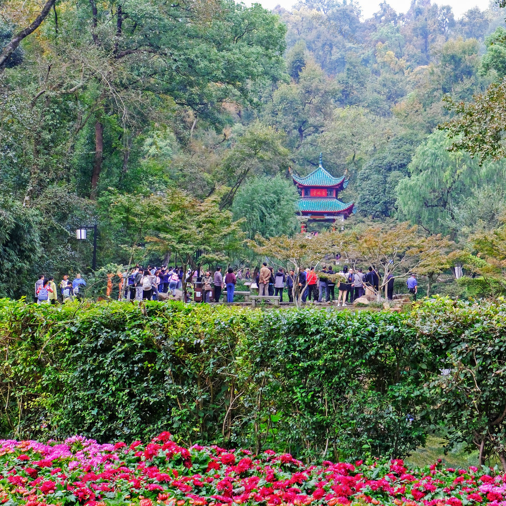 爱晚亭游人如织