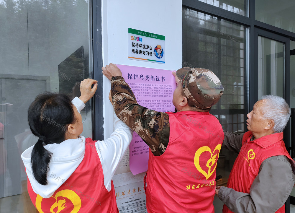 湘赣 护鸟飞 迁徙 志愿者