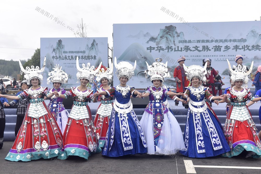 丰收活动 庆祝丰收  载歌载舞