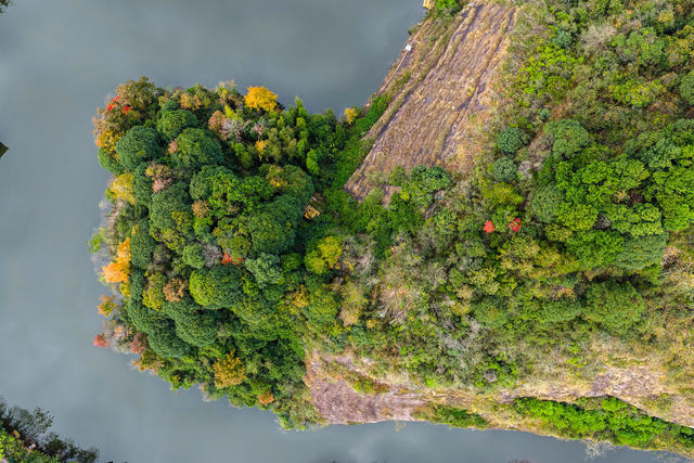 初冬 水库 公园 彩林 湿地