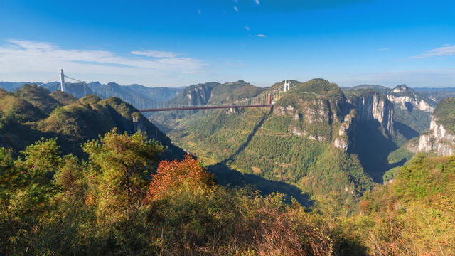 初冬暖阳   霜叶烂漫   矮寨大桥