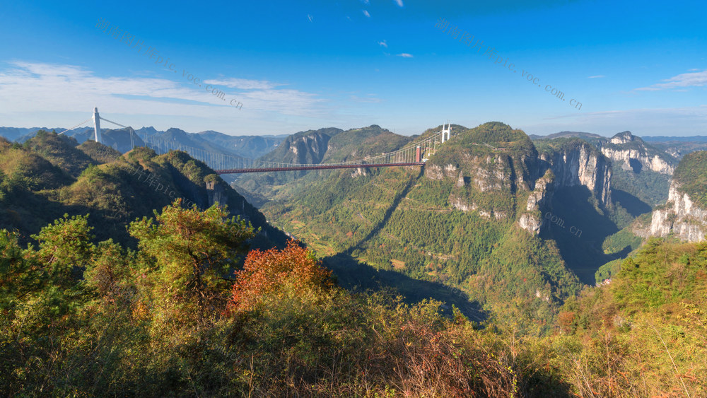 初冬暖阳   霜叶烂漫   矮寨大桥