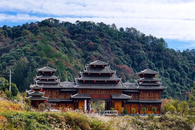 自然、冬天、景色、林业、生态