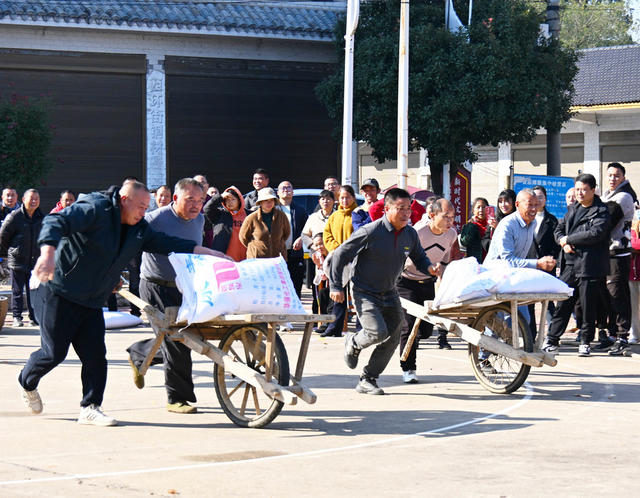 体育  全民健身  农耕文化  运动竞赛