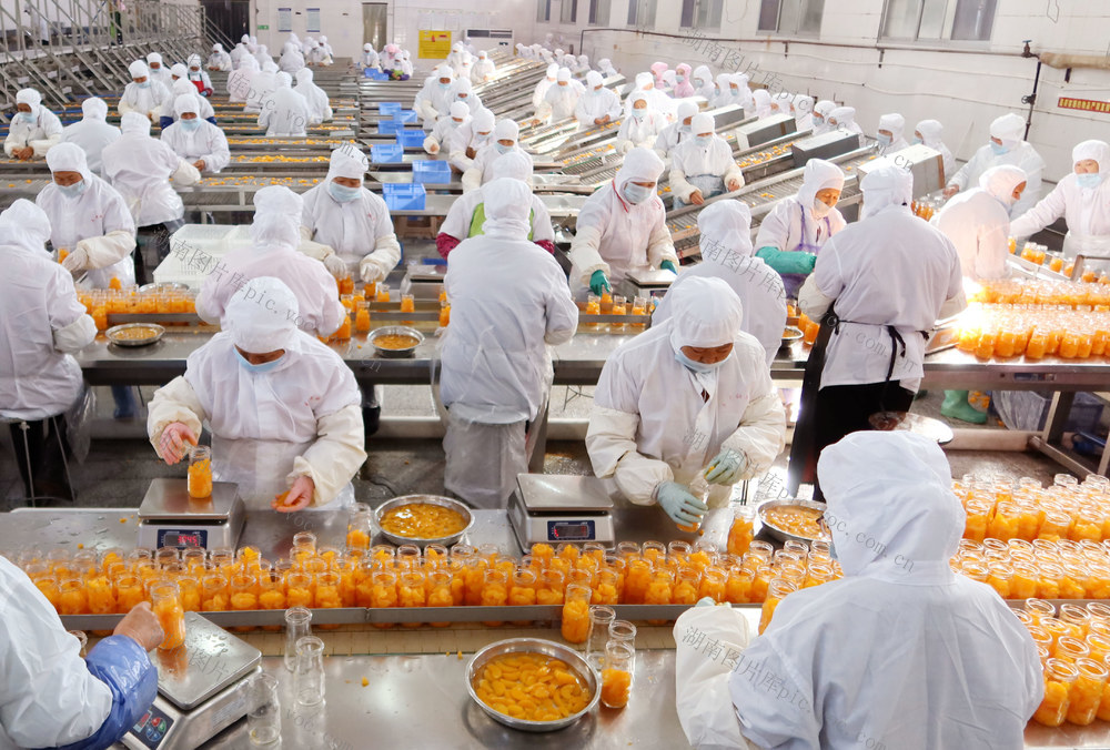 柑橘  加工 企业  带动 增收 就业  乡村振兴