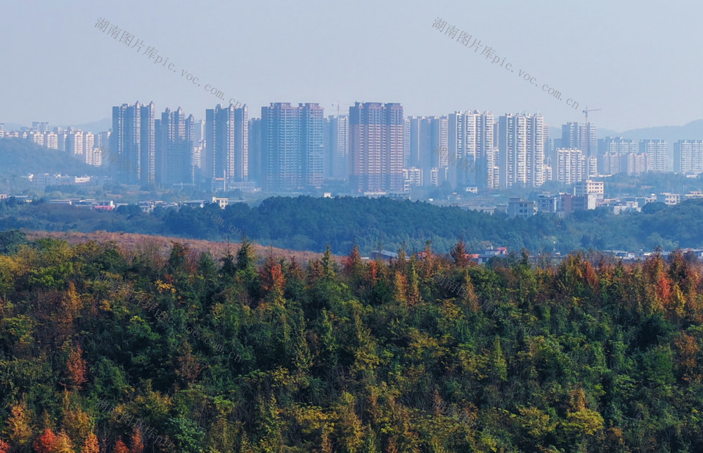 嘉禾：层林尽染  扮靓冬日