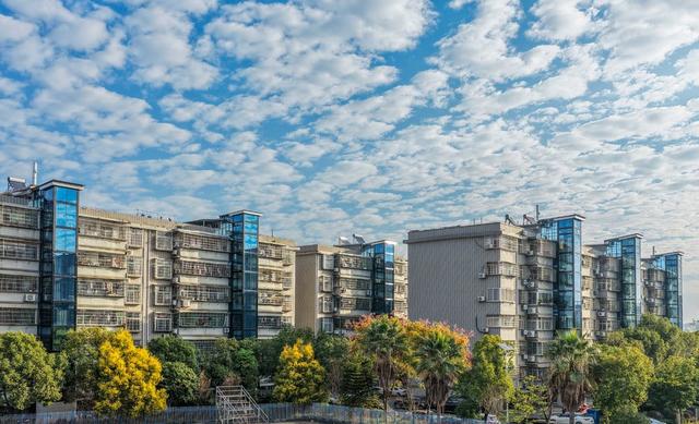 湖南道县：“梯”升居民幸福感