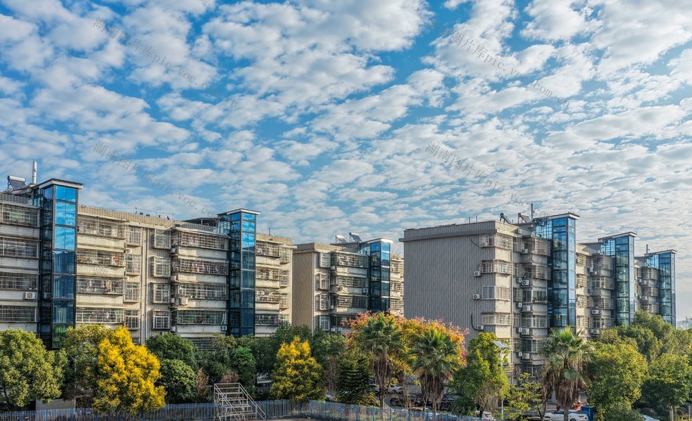 湖南道县：“梯”升居民幸福感