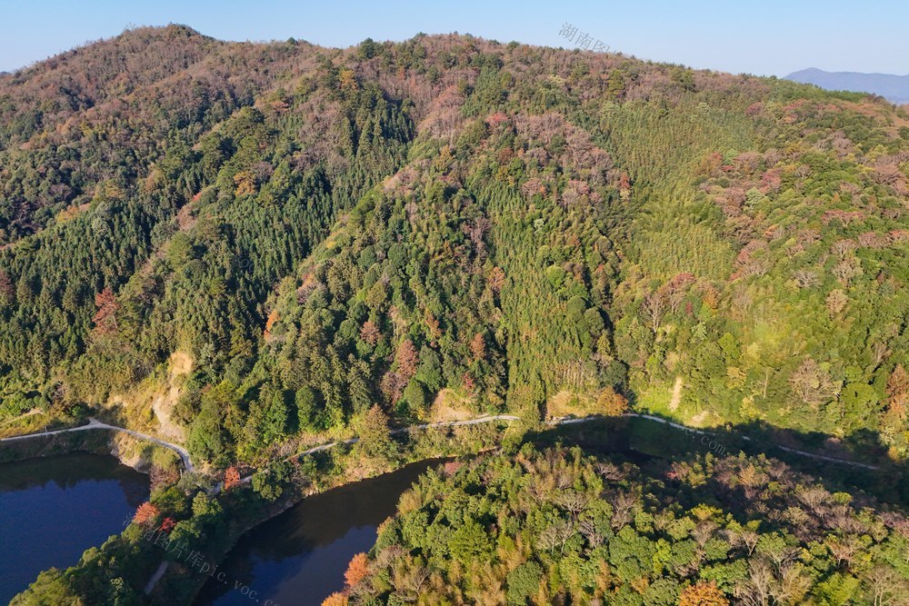 生态、风光、冬天、景色、林业