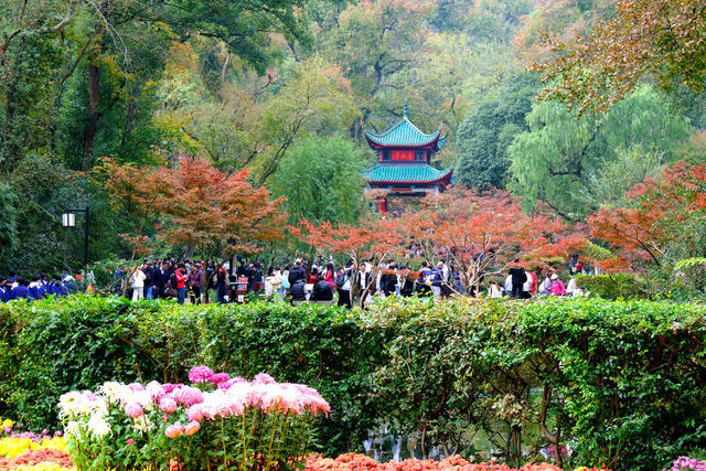 爱晚亭，遇见麓山