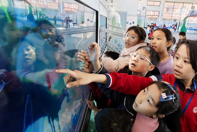 临武： 体验科技魅力