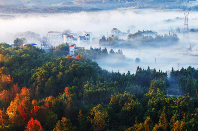 嘉禾：雾漫乡村景色美