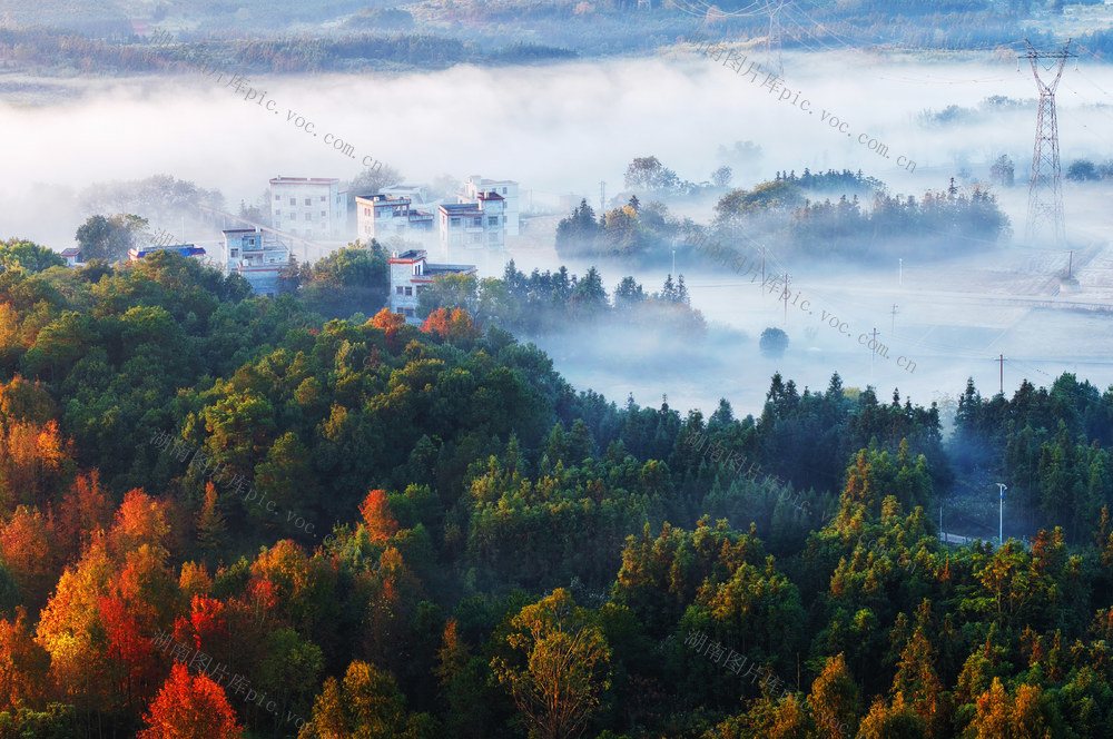 嘉禾：雾漫乡村景色美