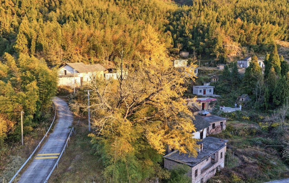 郴州  桂阳  山村  美景