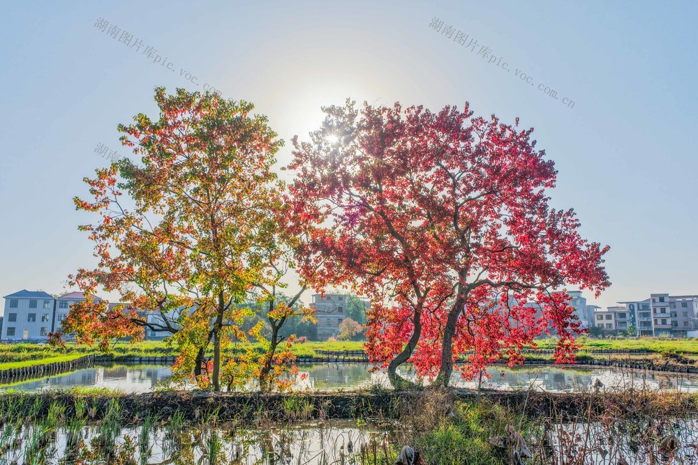 湖南道县：冬日山乡美