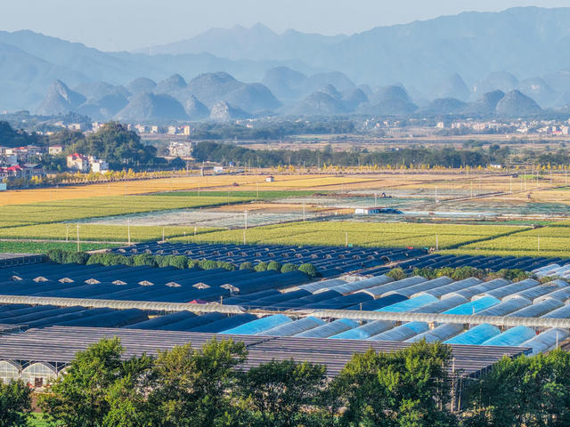 湖南道县：产业兴 乡村美