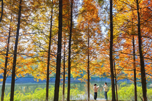 校园 冬日 美景