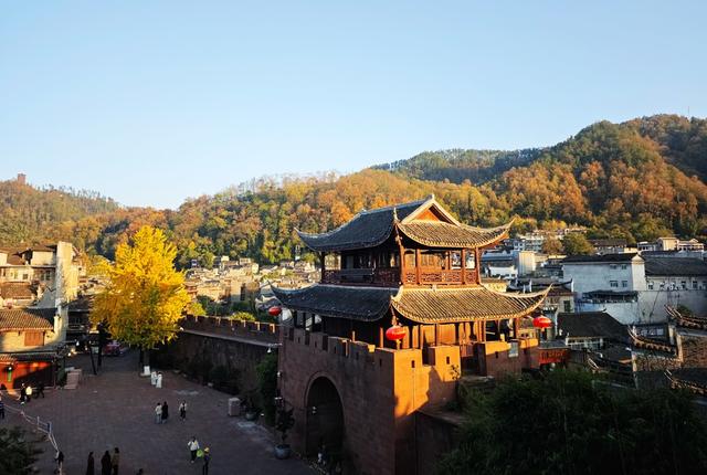 凤凰古城  西门城  银杏 金装 迎观赏  游客 打卡  拍照 