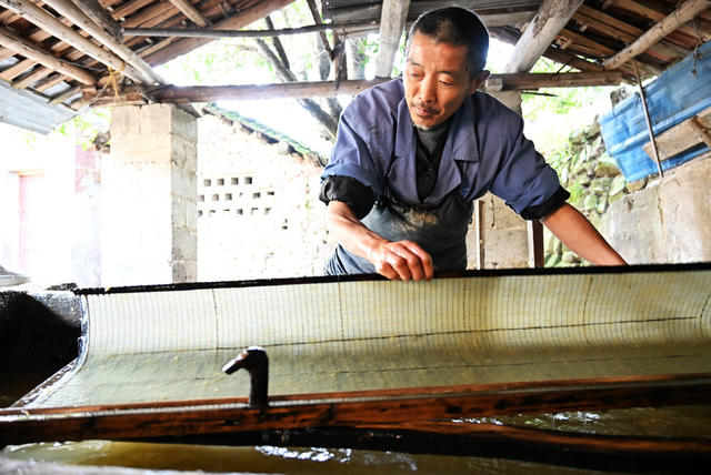 文教  非遗  古法造纸  传统村落  楠竹资源