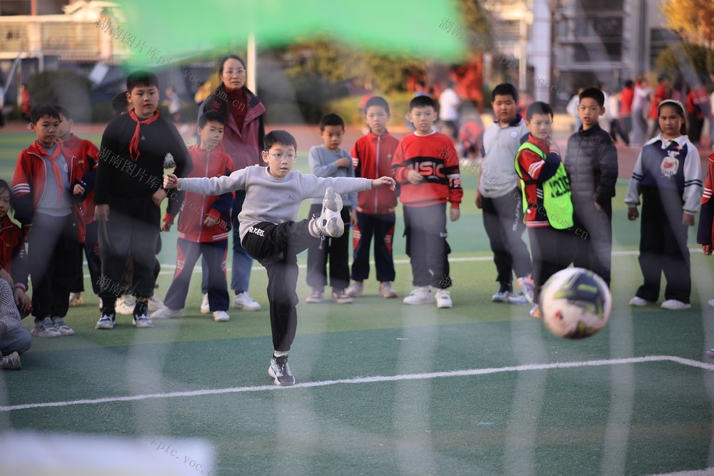 体育、校园、小学、学校、运动