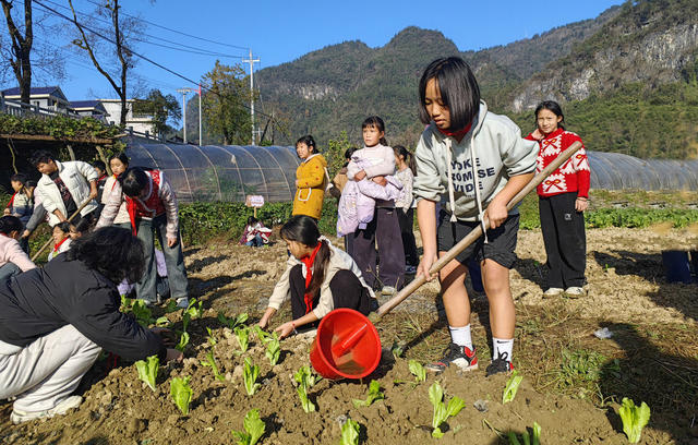 学生 种菜 劳动 教育 成长