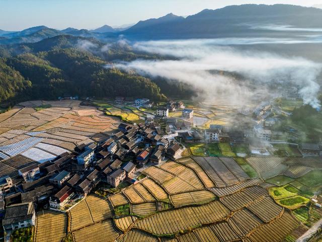 冬日 乡村 晨雾 田园 民居 美丽 画卷