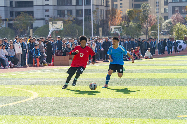 体育运动 健康成长 校园 青少年 足球