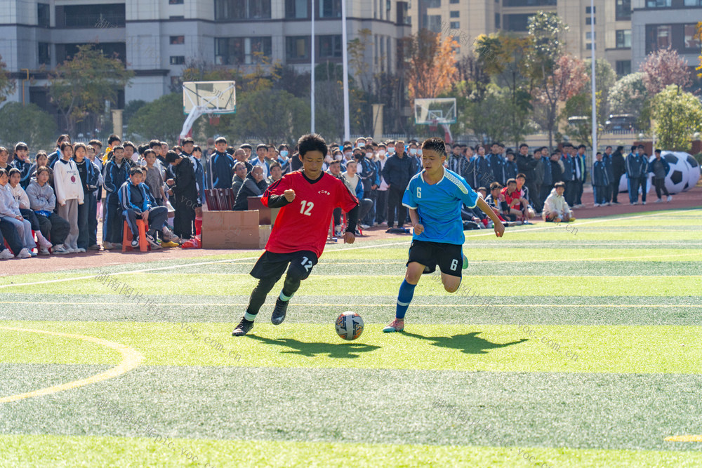 体育运动 健康成长 校园 青少年 足球