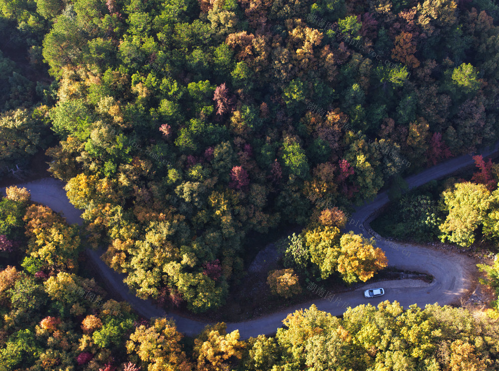 嘉禾：森林公园 层林尽染