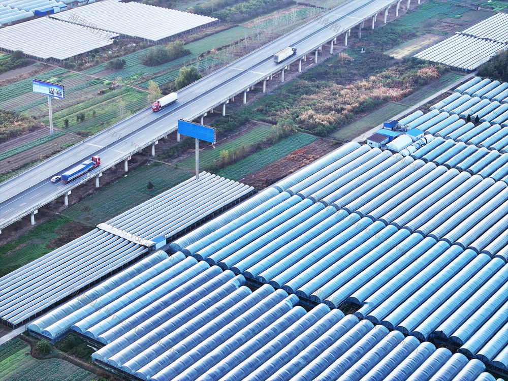 高速路  菜篮子  大棚蔬菜  粤港澳  钱袋子