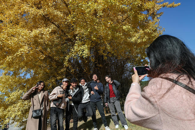 研学感悟中国乡村之美