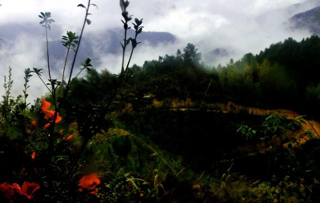 云雾  山峰 村庄