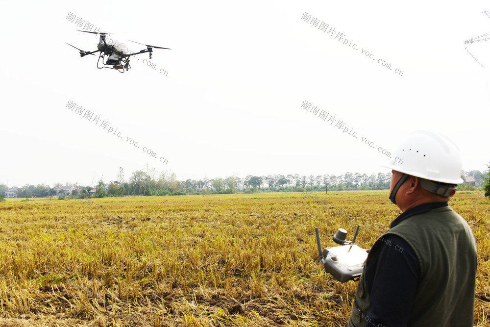 农业  油菜直播  机械化  拖拉机  植保无人机  社会化服务