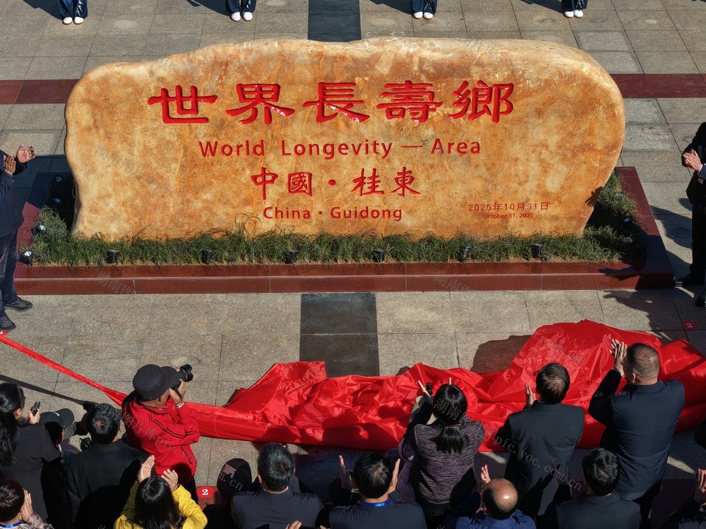 湖南桂东 “世界长寿乡” 文化石