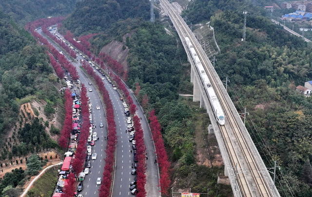 高铁车口驶过囗风景